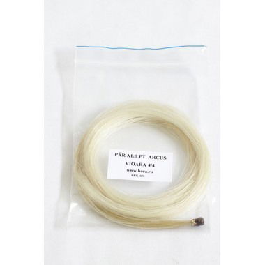 Par arcus alb vioara Hora Reghin [1]