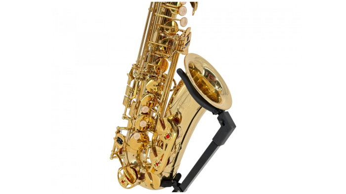 Parrot 100YT Gold Cupper Sax Alto [6]