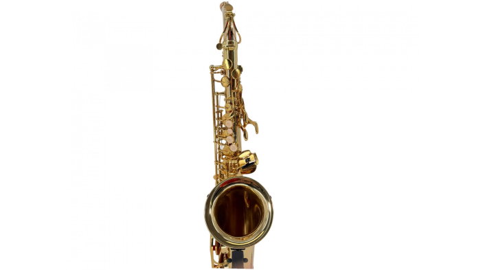 Parrot 100YT Gold Cupper Sax Alto [8]
