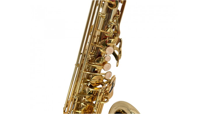 Parrot 100YT Gold Cupper Sax Alto [9]