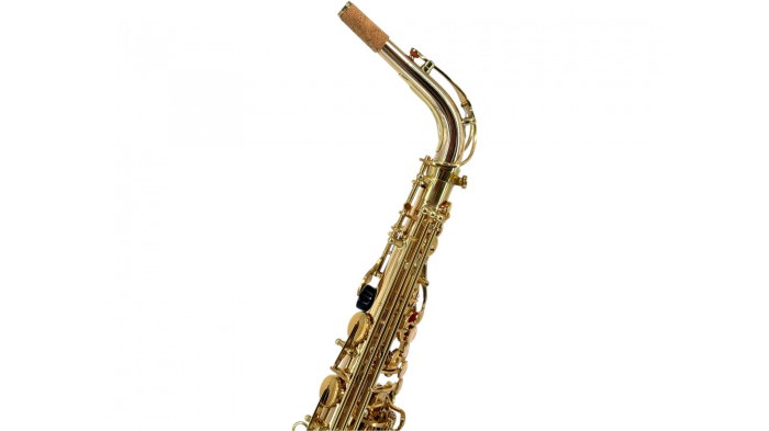 Parrot 100YT Gold Cupper Sax Alto [7]