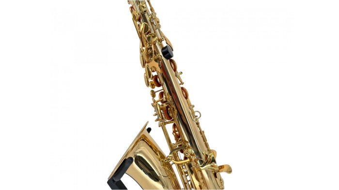 Parrot 100YT Gold Cupper Sax Alto [10]