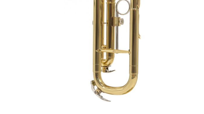 Parrot 6416L-1 [11]