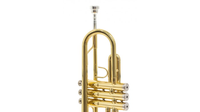 Parrot 6416L-1 [9]
