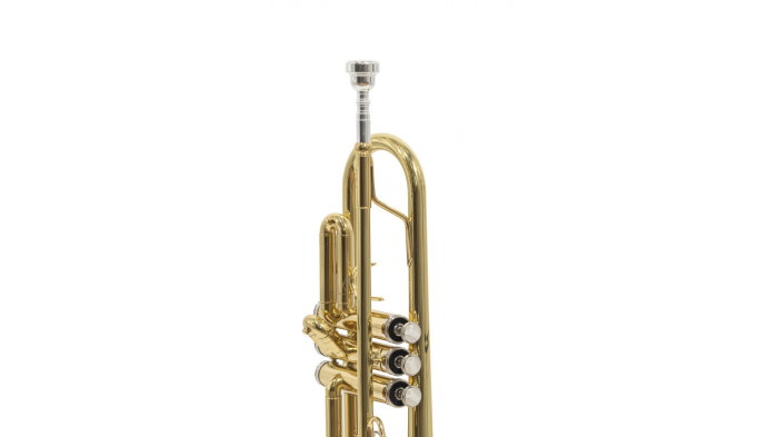 Parrot 6416L-1 [6]