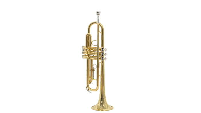 Parrot 6416L-1 [2]