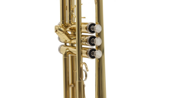 Parrot 6416L-1 [8]