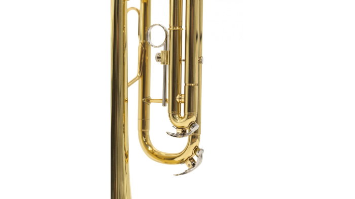 Parrot 6416L-1 [10]