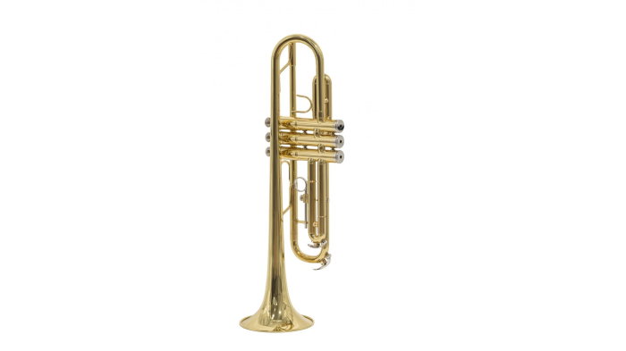 Parrot 6416L-1 [3]