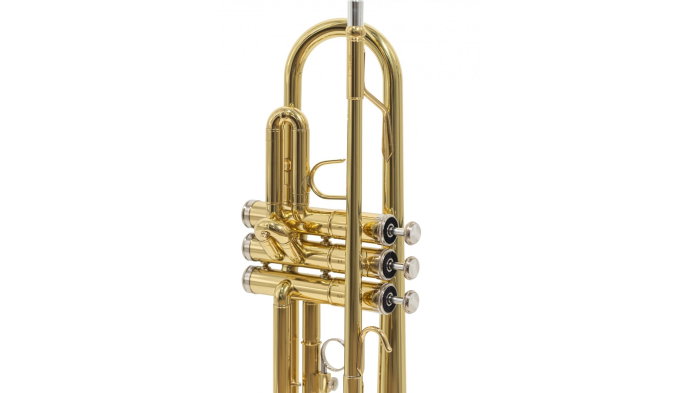 Parrot 6416L-1 [5]
