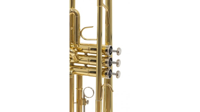 Parrot 6416L-1 [7]