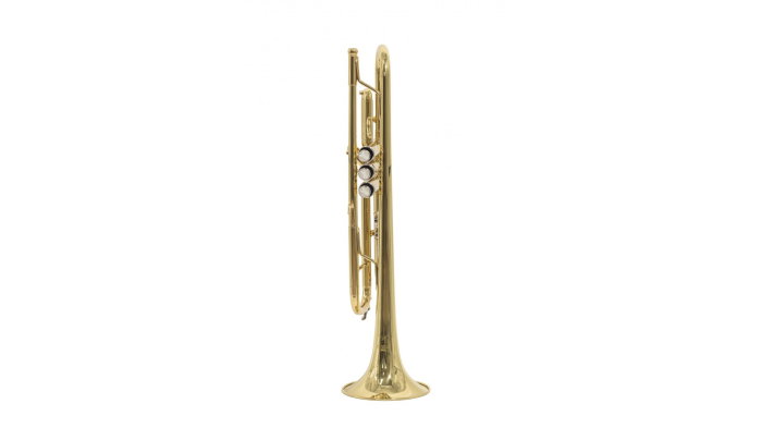 Parrot 6416L-1 [4]