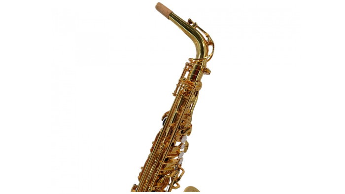 Parrot 6430GL Gold Plated Sax Alto [4]