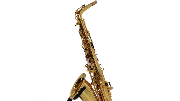 Parrot 6430GL Gold Plated Sax Alto [7]