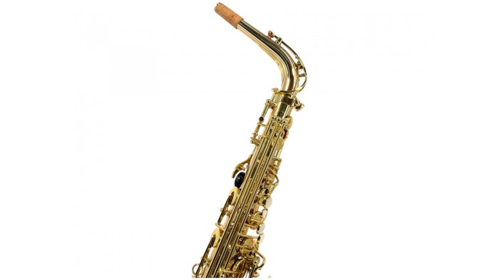 Parrot 6430T Sax Alto [3]