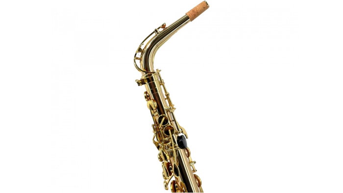 Parrot 6430T Sax Alto [6]