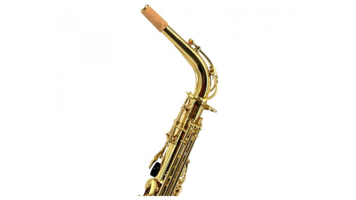 Parrot 6430YL Sax Alto [2]