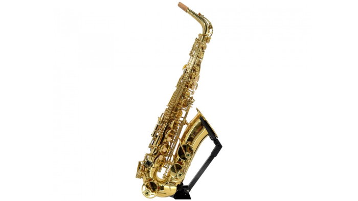 Parrot 6430YL Sax Alto [4]
