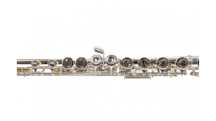 Parrot 6456 S [10]