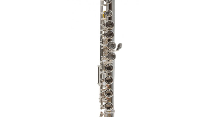 Parrot 6456 S [6]