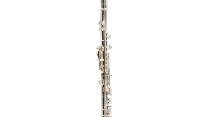 Parrot 6456 S [3]