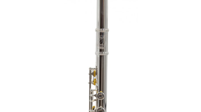 Parrot 6456 S [7]