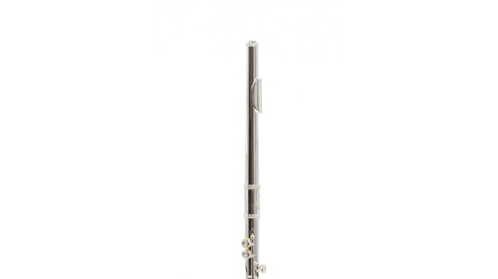 Parrot 6456 S [2]
