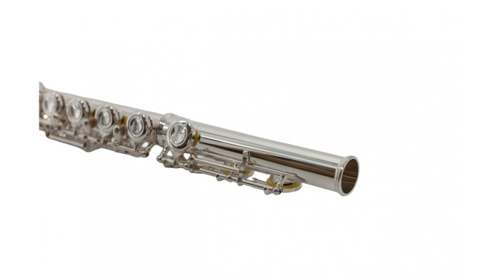 Parrot 6456 S [11]