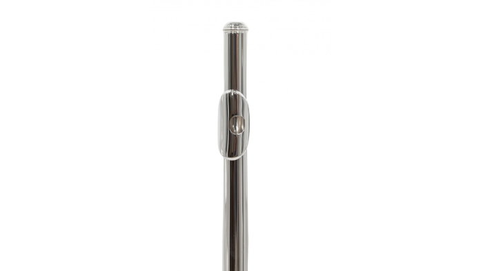 Parrot 6456 S [5]