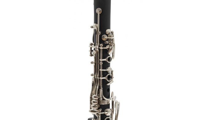 Parrot 7401 S [6]