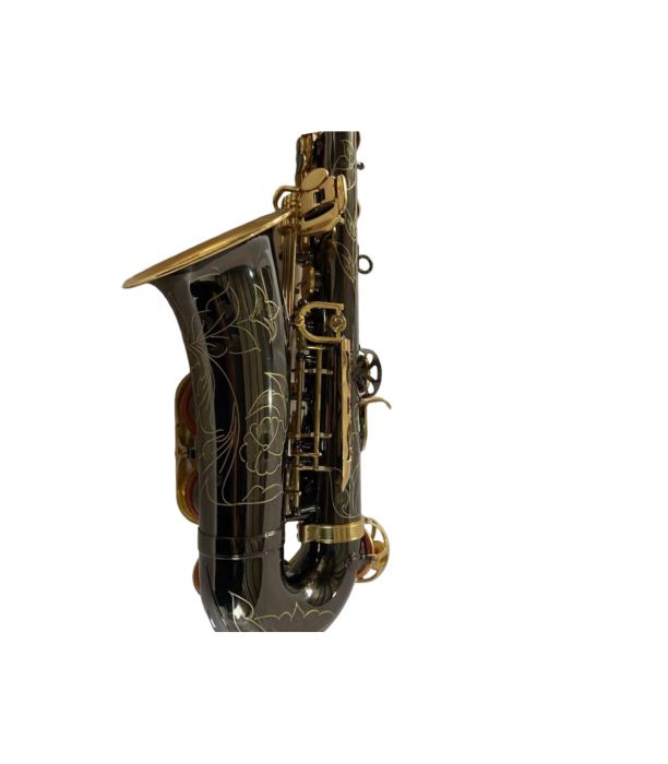 Parrot AX600 BK Nickel Plates Two-Tone Sax Alto [2]