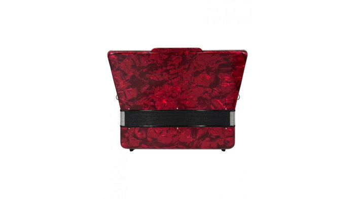 Parrot BYM 827 RD [8]