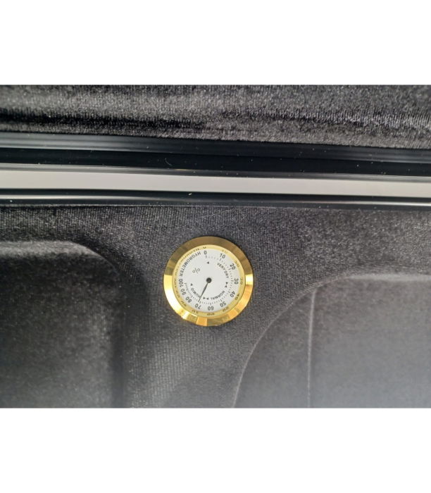 Parrot MV400CS-G Case Vioara [6]