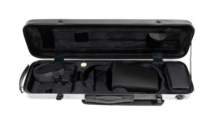 Parrot MV400CS-G Case Vioara [2]