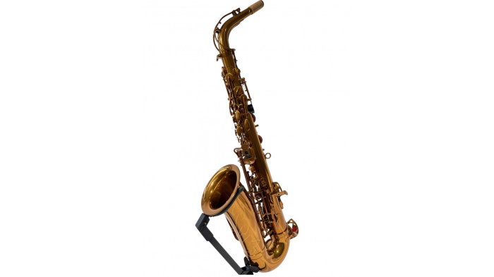 Parrot RL166 Rose Gold Saxofon Alto [3]