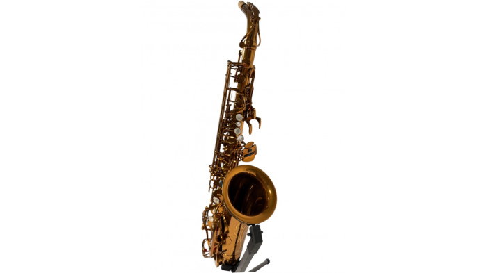 Parrot RL166 Rose Gold Saxofon Alto [4]