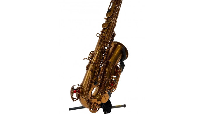 Parrot RL166 Rose Gold Saxofon Alto [9]