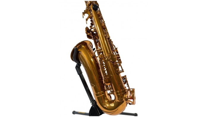 Parrot RL166 Rose Gold Saxofon Alto [8]