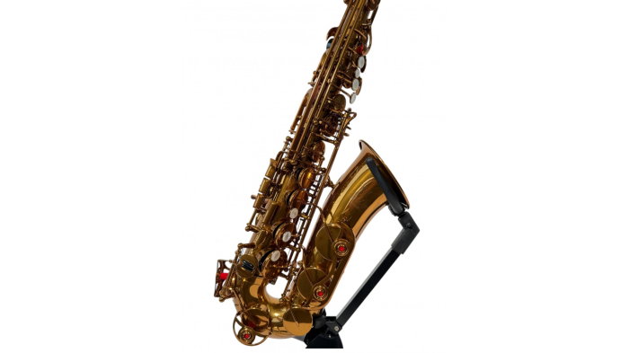 Parrot RL166 Rose Gold Saxofon Alto [6]