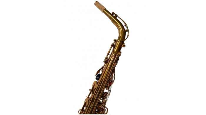 Parrot RL166 Rose Gold Saxofon Alto [7]