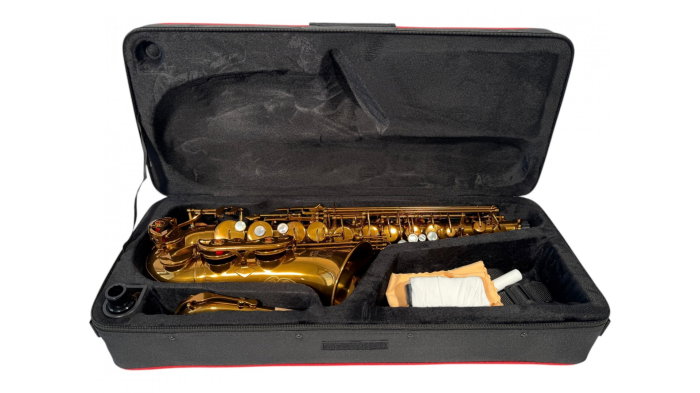 Parrot RL166 Rose Gold Saxofon Alto [11]