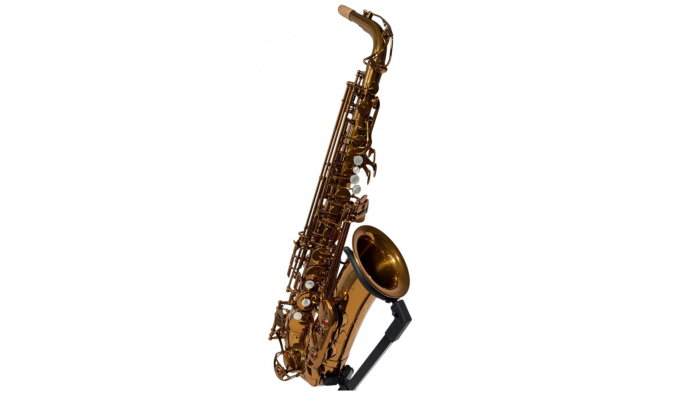 Parrot RL166 Rose Gold Saxofon Alto [2]