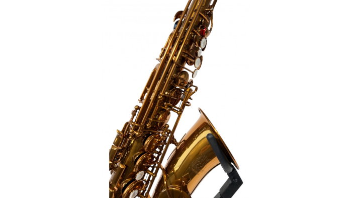 Parrot RL166 Rose Gold Saxofon Alto [5]
