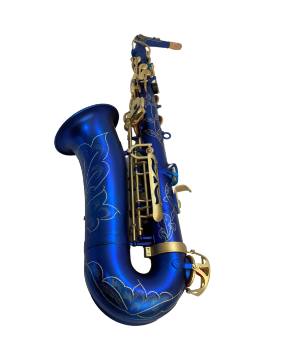 Parrot RL168 Blue Mat Sax Alto [3]