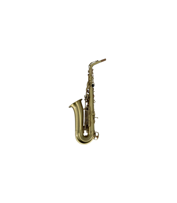 Parrot RT8331 [2]