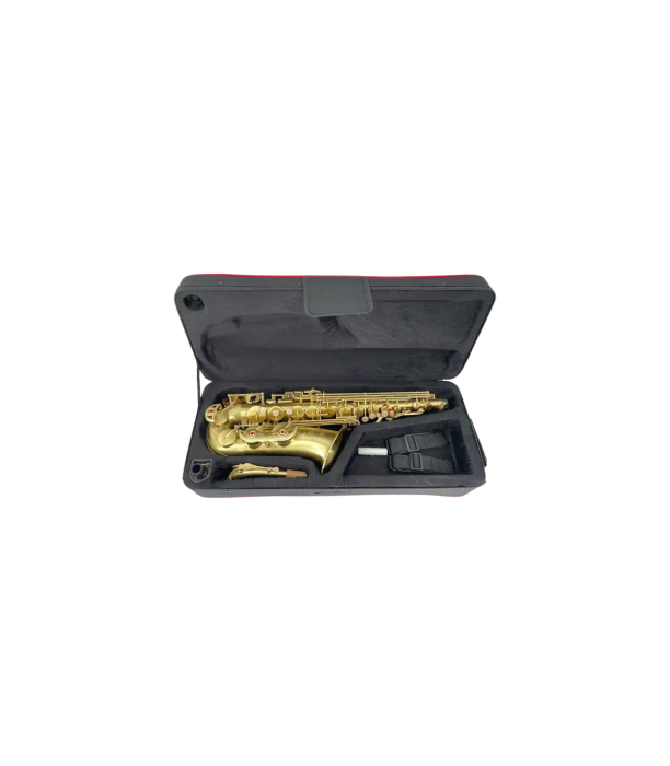 Parrot RT8331 [3]