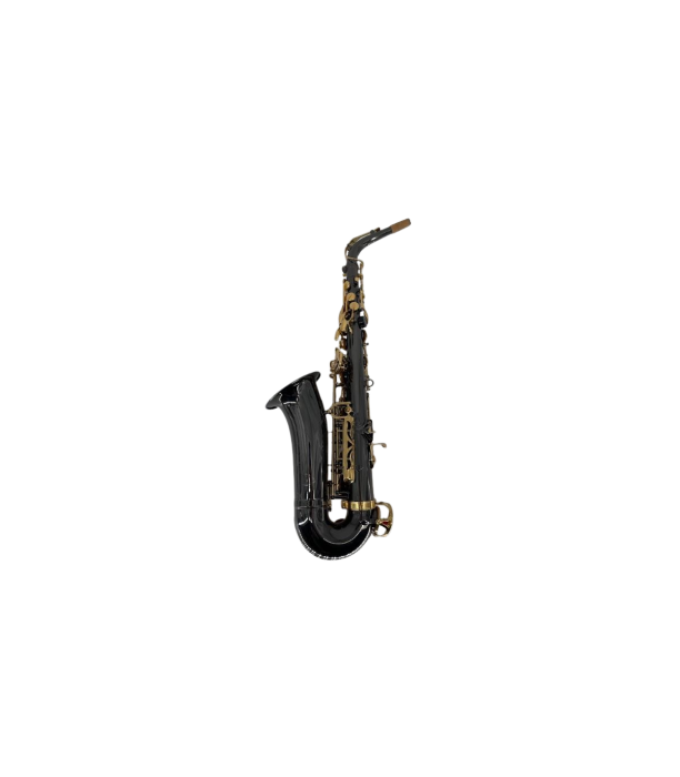 Parrot RT8332 BK Nickel [2]