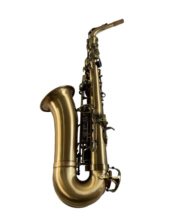 Parrot Sax900 Gold Bronze Antique Sax Alto [2]