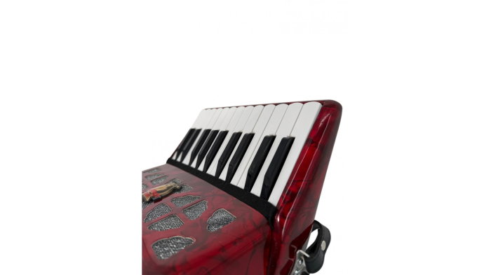 Parrot STP 200RD [4]