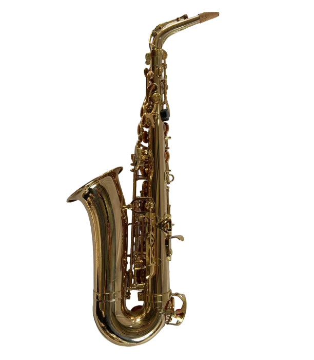 Parrot T62 Gold Bronze Sax Alto [2]